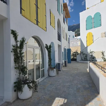 Lorins Seaside Santorini In Drymades Appartement *